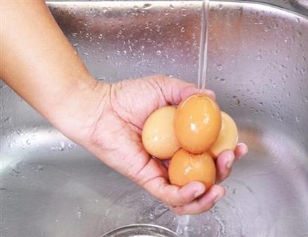تحذير هام من غسل البيض بالماء قبل سلقه وهذه هي الطريقة الصحيحة لتنظيفه!