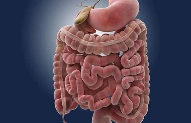 5 عادات يومية تساعد على تحسين صحة الأمعاء.. تعرف عليها الان