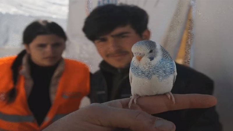 قصة نجاة أسرة تركية من الزلزال المدمر بسبب ما فعله ببغاء قبل لحظات من وقوعه (صور)