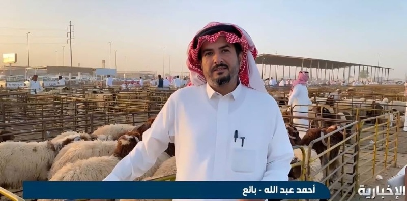 شاهد.. بائع في سوق الأغنام في حفر الباطن يكشف أنواع الخرفان المتوفرة حاليا ومتوسط أسعارها في السعودية