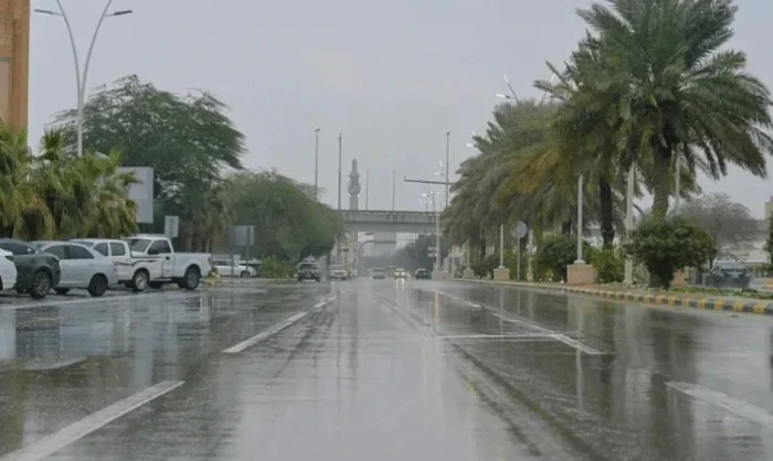 الأرصاد تحذر من أمطار غزيرة وسيول على هذه المناطق خلال الساعات القادمة